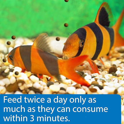 API BOTTOM FEEDER PELLETS WITH SQUID Fish Food 7.9-Ounce Container