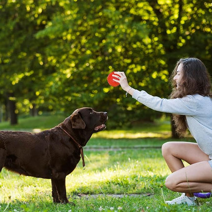 3.5” Squeaky Dog Toy Balls (6 Colors) Dog Toys Spikey Dogs Ball for Aggressive Chewers Heavy Duty Teething Large Medium Durable Dogs Balls