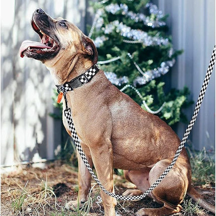 Roses&Poetry Dog Collar and Leash for Extra Small,Adjustable Durable 5ft Puppy Leash Collar for Dog Training Lead（Black & White-XS）