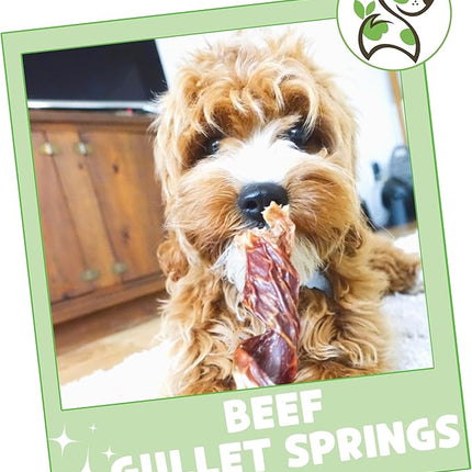 Nature Gnaws Beef Gullet Springs for Dogs 7-8" (6 Count) - Natural Beef Jerky Stick Dog Chew Treats - Rawhide Free