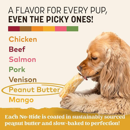 Earth Animal No Hide Chews - Long Lasting Rawhide Free Small Dog Chews Rolls, Peanut Butter - 2 Count
