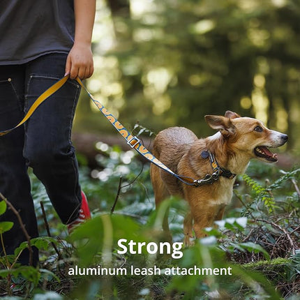 Ruffwear, Crag Dog Collar, Stylish Adventure Collar with Premium Reflective Design, Quick Release Buckle, Lightweight All-Day Comfort, Grassy Oxbow, 11"-14"