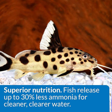 API BOTTOM FEEDER PELLETS WITH SQUID Fish Food 1.3-Ounce Container