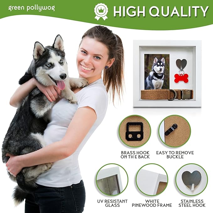 Green Pollywog Pet Memorial Shadowbox with Photo, Tag & Collar Display | White Frame with 4” x 6” Picture Opening | 10” x 10” x 2.5” Keepsake Box