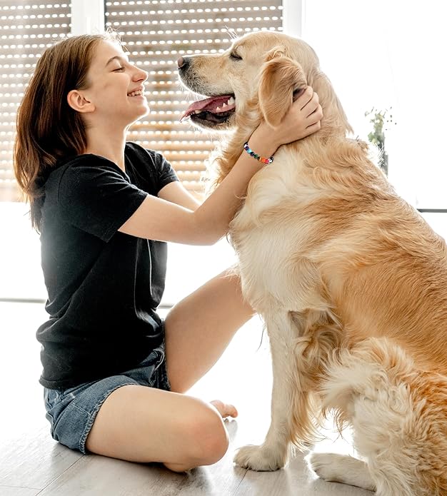 TONY & SANDY Dog Memorial Gifts, Pet Sympathy Rainbow Bridge Pet Memorial Bracelet for Men Women Girls Who Loss of Beloved Dog Cat