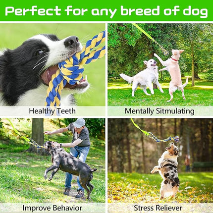 XiaZ Tug of War Dog Toy, Interactive Dogs Toy Bungee Hanging Tether with 2 Chew Rope Toys, Heavy Duty Puppy Outdoor Activity Aggressive Chewers Best Small to Large Boredom Exercise and Play (Green)