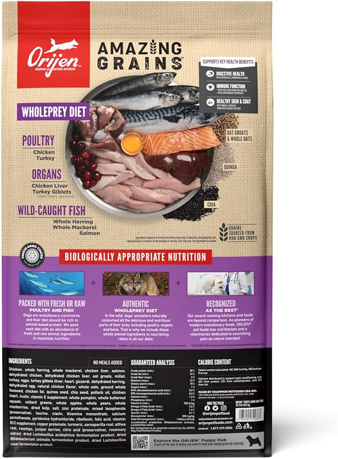 ORIJEN Amazing Grains High Protein Dry Dog Food Puppy Large Breed Recipe 22.5lb Bag