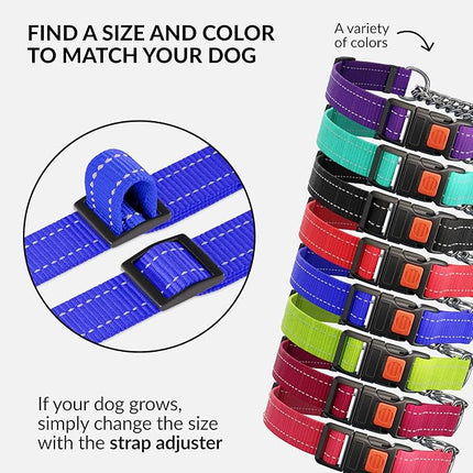 CollarDirect Martingale Dog Collar with Stainless Steel Chain and Quick Release Buckle - Reflective Collar for Large, Medium, Small Dogs - Blue, Small (Neck Size 12"-15")