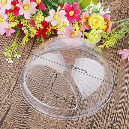 GREENWISH 2Pack 5.9'' Wall Mounted Clear Acrylic Round Fish Tank Flower Pot Vase Decoration Wall Hanging Mount Fish Bowl Fish Bubble Aquarium Decorative Plant Pot Hanging Hydroponic Pot