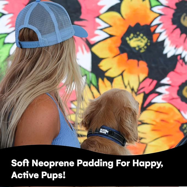 Black Rhino Reflective Dog Collar - Heavy Duty Adjustable Comfort Collar with Ultra Soft Neoprene Padding for All Breeds - Weatherproof, Lightweight Dog Collars for Large Dogs (Large, Blue/Grey)