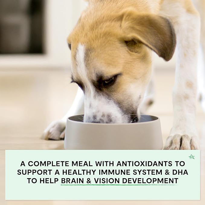 Open Farm, Grain-Free Dry Dog Food for Puppies, Protein-Packed Kibble, Sustainably & Ethically Sourced Ingredients, Non-GMO Veggies & Superfoods, Salmon & Sweet Potato Puppy Recipe, 22lb Bag