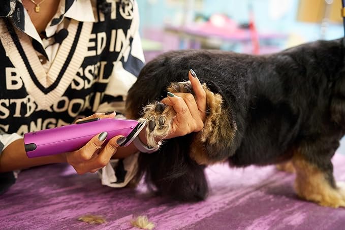 Wahl Professional Animal Arco Pet, Dog, Cat, and Horse Cordless Clipper Kit, Purple (8786-1001)