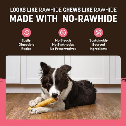 Earth Animal No Hide Chews - Long Lasting Rawhide Free Medium Dog Chews Rolls, Salmon - 6 Count