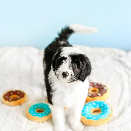 ZippyPaws - Mini Donutz No Stuffing Squeaky Plush Dog Toy - Blueberry