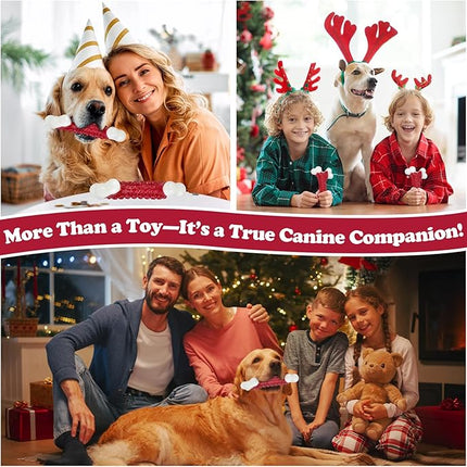 10-Pack Tough Dog Toys, Toys for Aggressive Chewers Large Breed, Chew Dogs, Bone Toy Nylon Dogs Almost Indestructible