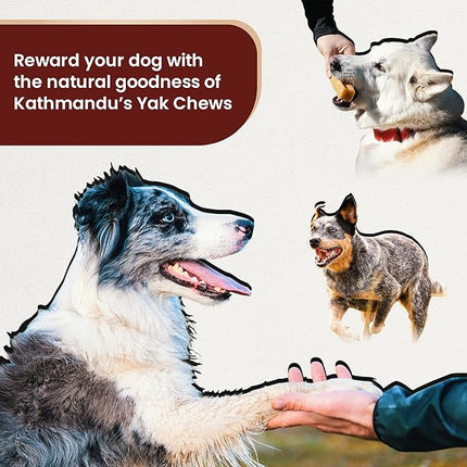 Authentic Himalayan Yak Cheese for Dogs - Small (Pack of 10) - Sourced from Pristine Himalayan Foothill, Rawhide-Free, NO preservatives