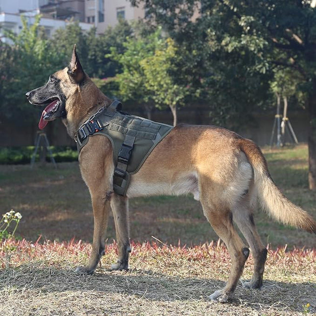 ICEFANG Tactical Dog Harness, X-Large Size,2X Metal Buckle,Working Dog MOLLE Vest with Handle,No Pulling Front Leash Clip,Hook and Loop Panel (Green,XL (Pack of 1))