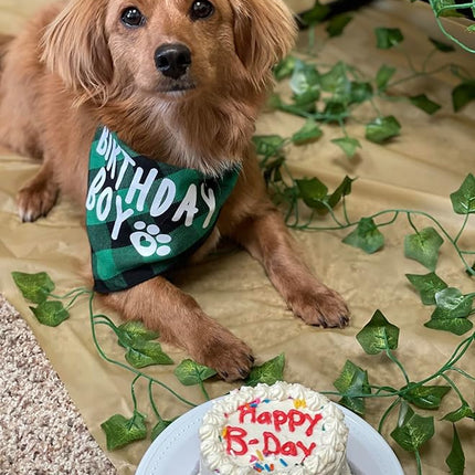 Birthday Boy Dog Bandana Green