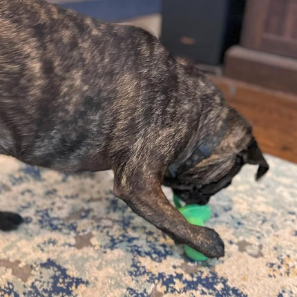 SPOT Puppy Pacifier Latex Dog Toy – Cute Binky-Shaped Chew Toy for Teething Puppies & Small Dogs, Best for Light Chewers, Durable & Non-Toxic with Squeaker, 4.5” – Assorted Colors