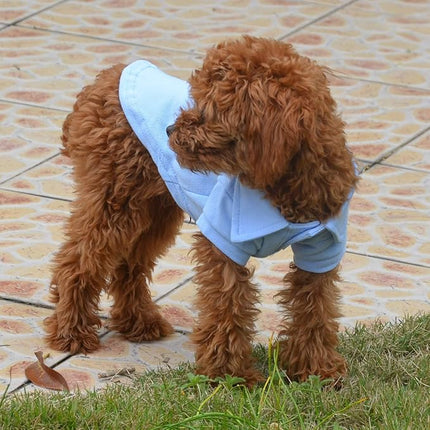 lovelonglong Basic Dog Polo Shirts Premium Cotton, Polo T-Shirts for Large Medium Small Dogs with a Two-Button Collar Blank Color Sky-Blue XS