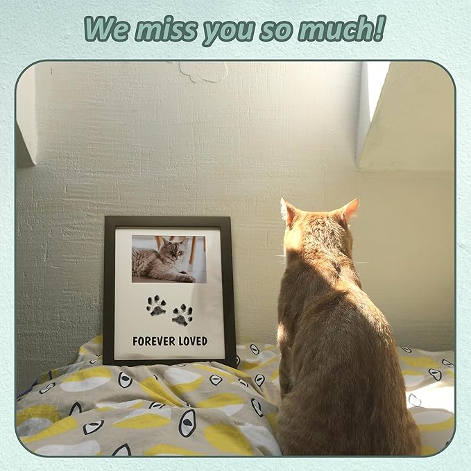 Dog Memorial Gifts for Loss of Dog – Pet Memorial Frame for 4x6 Photo & Inkless Paw Print Kit – Sympathy Gift for Pet Loss, Bereavement, Remembrance Rainbow Bridge Keepsake for Pet Lovers