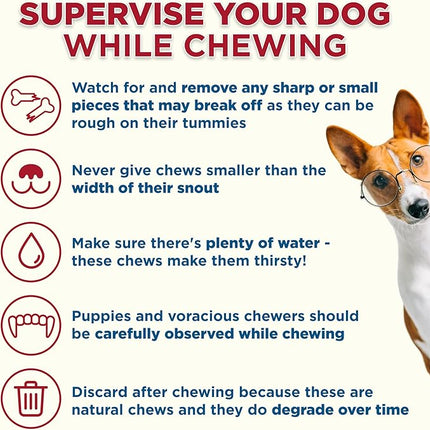 Best Bully Sticks 5-6 Inch Bully Filled Shin Bones for Dogs - 5 Count (Pack of 1) - Easily Digestible, Long-Lasting, Refillable Treat