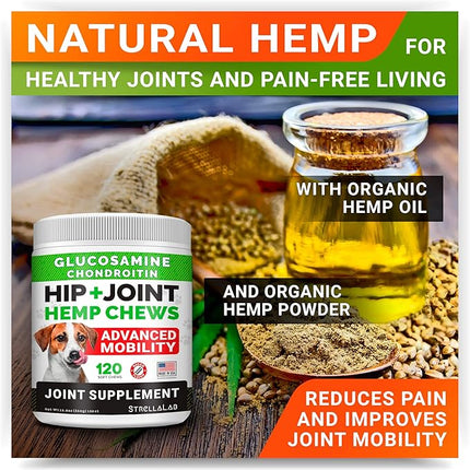 Large Breed Hemp + Glucosamine Dog Joint Supplement - Hemp Chews for Dogs Hip Joint Pain Relief - Omega 3, Chondroitin, MSM - Advanced Mobility Hemp Oil Treats for Large Dogs - Made in USA - 240 Ct