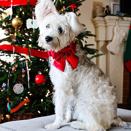 Lionet Paws Bowtie Dog Collar - Comfortable Silk Dog Collar with Detachable Bow Tie for Large Dogs, Neck 16-24 Inches