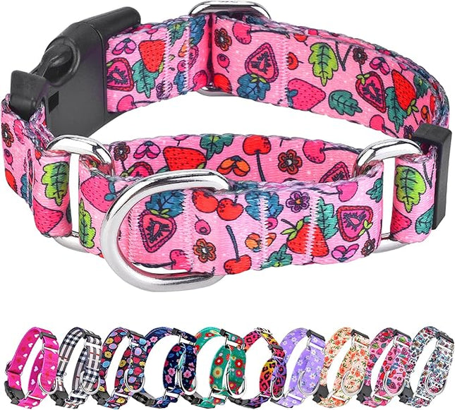 Hikiko Summer Dog Collar for Small Medium Large Dogs, Adjustable Nylon Fruit Pattern Martingale Collars with Quick Release Buckle (Pink Strawberry,S)