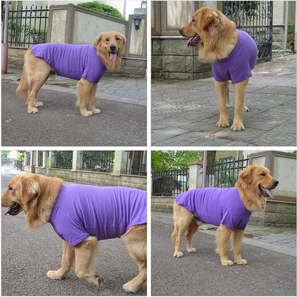 Lovelonglong 2019 Pet Clothing Dog Costumes Basic Blank T-Shirt Tee Shirts for Medium Small Dogs Purple XL