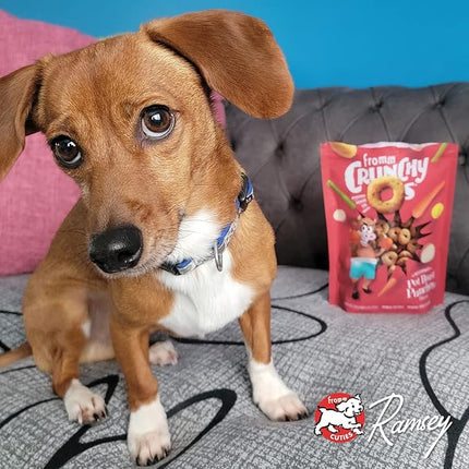 Fromm Crunchy Os Pot Roast Punchers Dog Treats - Premium Crunchy Dog Treats - Beef Recipe - 6 oz