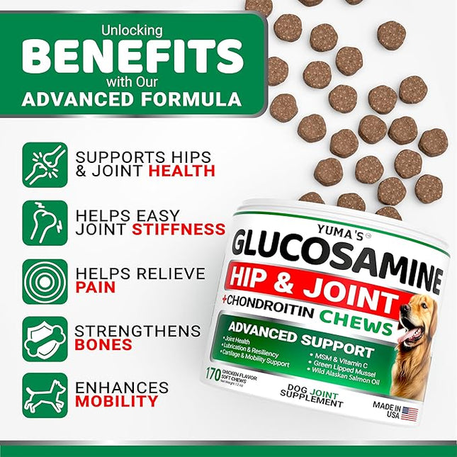 Glucosamine for Dogs - Hip and Joint Supplement for Dogs - 170 Ct - Glucosamine Chondroitin Chews - Joint Pain Relief Supplement with MSM - Advanced Health - Mobility Support - Made in USA