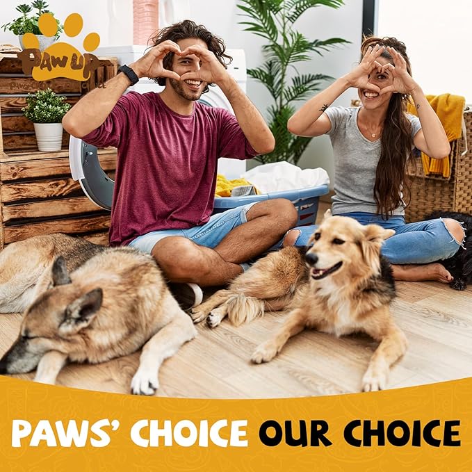 Chicken Jerky Dog Treats, Human Grade Chicken Tender, All Natural High Protein Jerky for Dog, Rawhide-Free, No Artificial Flavors, 12.5 oz