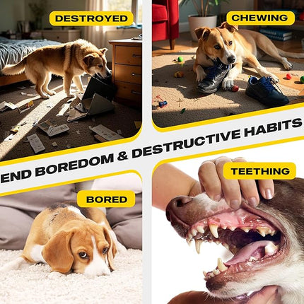 Fida Heavy Duty Dog Rope Toys for Aggressive Chewers 4pcs Pack – Natural Cotton Dog Chew Toys for Large Dogs, Tug-of-War & Fetch Rope Ball/Ring/Knot/Twist to Keep Them Busy