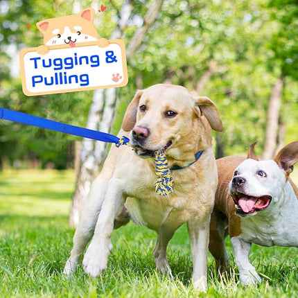 XiaZ Tug of War Dog Toy, Interactive Dogs Toy Bungee Hanging Tether with 2 Chew Rope Toys, Heavy Duty Puppy Outdoor Activity Aggressive Chewers Best Small to Large Boredom Exercise and Play (Blue)