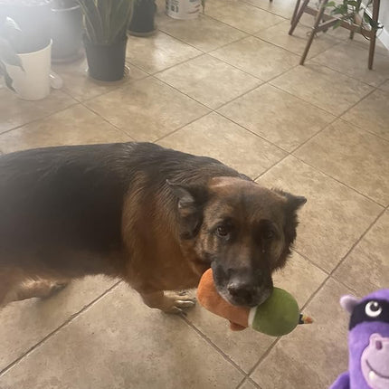 Jalousie 5 Pack Tough Plush Animal Dog Toys Assortment Value Bundle Dog Squeaky Toys Assortment Puppy Pet Mutt Dogs Toy Squeak Toy for Snall Medium Large Breeds (6 Pack Surprise Mix)