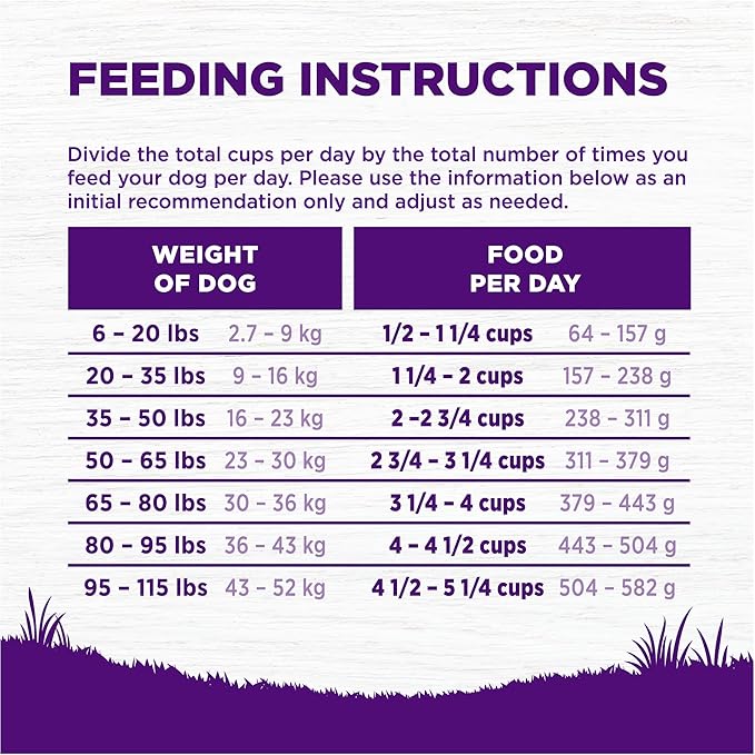 Wellness Natural Pet Food Complete Health Natural Grain Free Dry Dog Food, Chicken, 12-Pound Bag