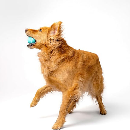 Playology Dog Toys | Squeaky Chew Ball - Bouncy Durable Floating Fetch Ball for Dogs, Value 2-Pack | Medium Peanut Butter Scented Toy - Easy to Clean and Made from Non Toxic Materials