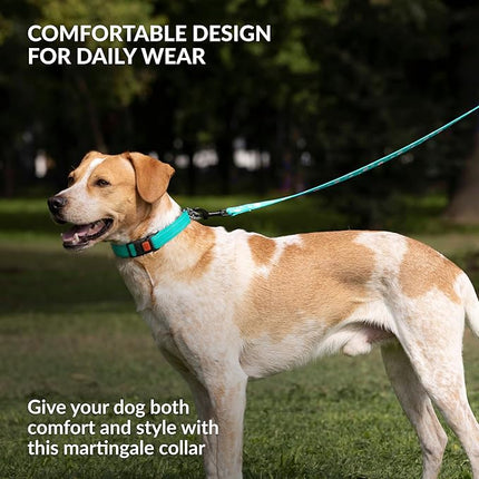 CollarDirect Martingale Dog Collar with Stainless Steel Chain and Quick Release Buckle - Reflective Collar for Large, Medium, Small Dogs - Mint Green, Medium (Neck Size 14"-17")