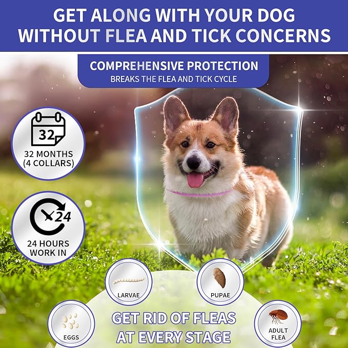 YOTANGO 4 Pack Flea Collar for Dogs, Dog Flea Collar Waterproof, 32 Months Prevention, Dog Fleas and Tick Treatment, Adjustable Fleas and Tick Protection for Dogs Puppy(Blue & Pink)
