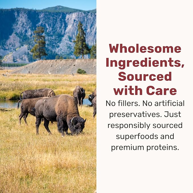 BADLANDS RANCH Superfood Nuggets- Premium, Freeze-Dried raw Dog Food Topper or Treat. Powerful Nutrient-Dense Ingredients. No Artificial additives. Bison and Kale Formula 8oz - 4pk Bundle