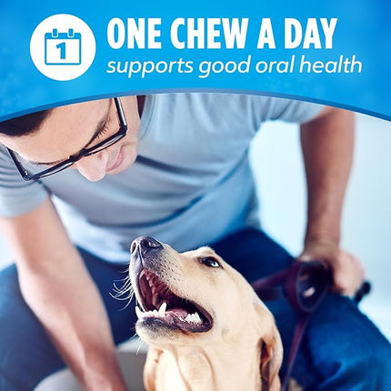 Purina DentaLife Daily Oral Care Large Dog Dental Chews Multipack - (Pack of 2) 30 ct. Pouches