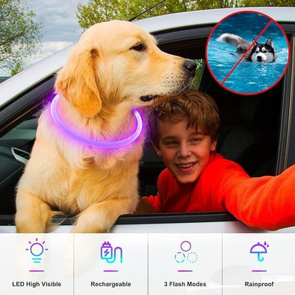Light Up Dog Collars, USB Rechargeable Dlitk LED Dog Collar 1 Count, TPU Cuttable Size Glow Collar for Dogs, Dog Collar Light, Please Do Not Use Fast Charging (Purple)