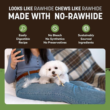 Earth Animal No Hide Stix - Long Lasting Rawhide Free Small Dog Chews Sticks, Pork - 10 Count