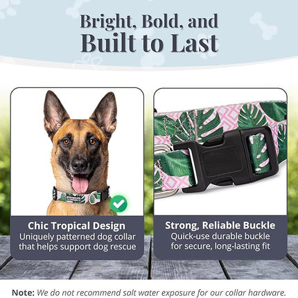 Lucky Love Dog, Tropical Matching Dog Collar & Leash Set, Soft & Comfy, Vivid Pink Color Collar and Leash for Female Male Dogs - (Large, Laguna Combo)