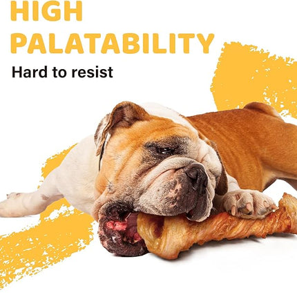 iPaw Turkey Tendon for Dogs, Ingredient Sourced from USA, Hypoallergenic, All Natural Human Grade Puppy Chew, Dog Treats for Signature Series, Rawhide Alternative, 1 Units/Pack Bone (Large)