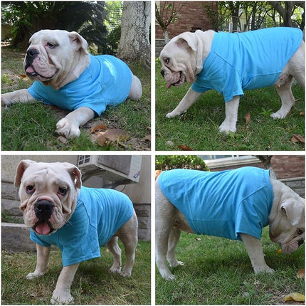 Lovelonglong Pet Clothing Dog Costumes Basic Blank T-Shirt Tee Shirts for Medium Dogs Lake-Blue XXL