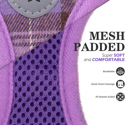 EXPAWLORER Classic Plaid Puppy Harness - Small Dog Harness and Leash Set - Dog Collar and Leash Set with AirTag Holder, Soft Padded Step in Dog Vest Harness No Pull Reflective for Outdoor, Purple XXS