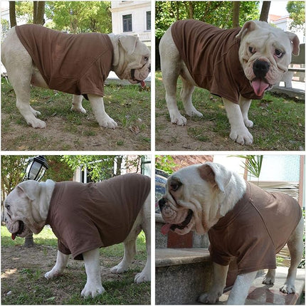 Lovelonglong Bulldog Clothes Dog Clothing Blank T-Shirt Tee Shirts for French Bulldog English Bulldog American Pit Bull Pugs 100% Cotton Skin Care Coffee B-XL