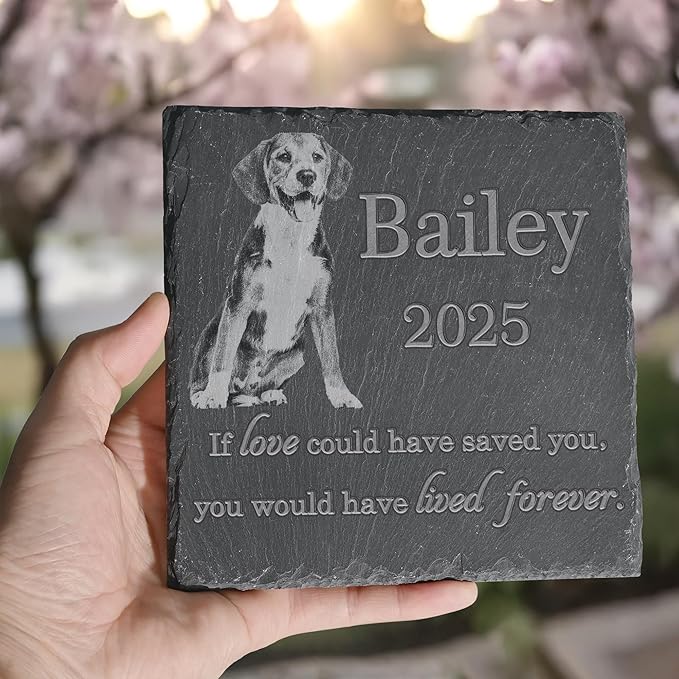 Pet Memorial Stone, Dog Memorial Stone, Dog Memorial Gifts for Loss of Dog, Pet Memorial Gifts, Loss of Pet Sympathy Gift, in Loving Memory Pet - Loved Could Saved You Forever - Square